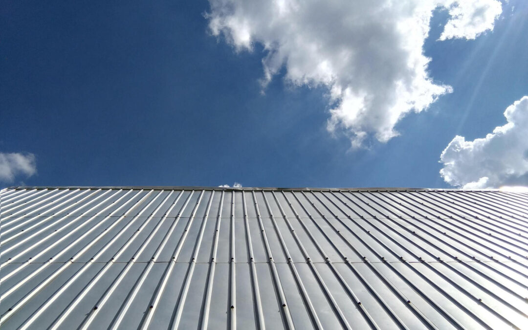 Shingle Roof vs Metal Roof